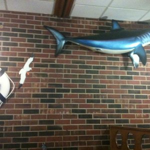 Captain Tom's Seafood